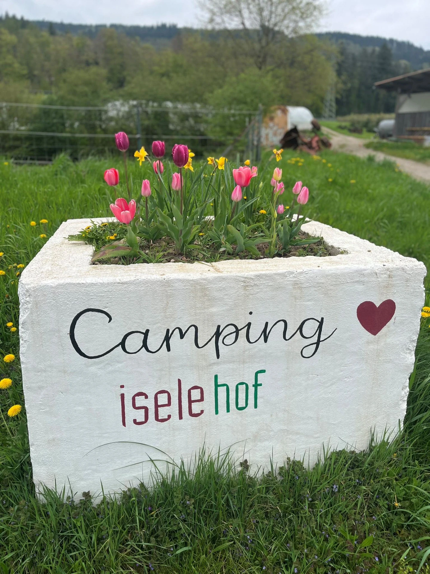 Isele Hof — photo 7